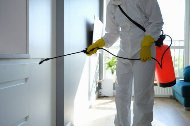 Professional Mold Removal in Pleasant Hill, TX