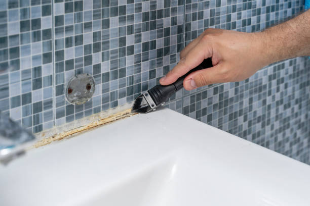 Office Mold Removal Services in Pleasant Hill, TX