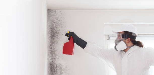 Best Mold Testing  in Pleasant Hill, TX
