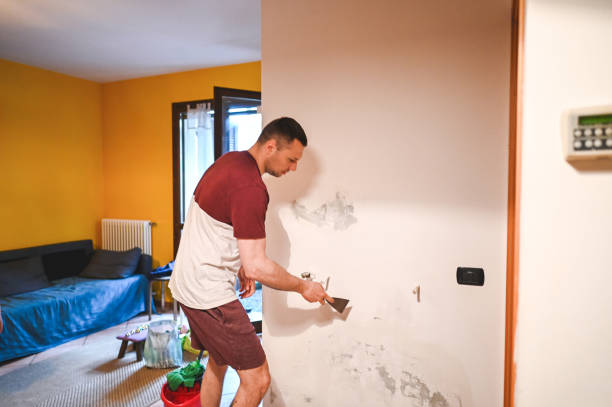 Best Professional Mold Removal  in Pleasant Hill, TX